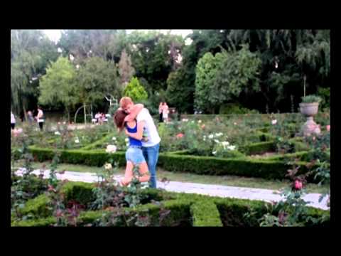 Timisoara Internship Summer 2011