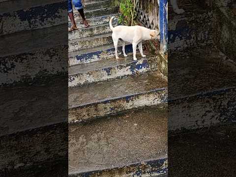 aqui em escada #muito Pernambuco #e chuva #bom