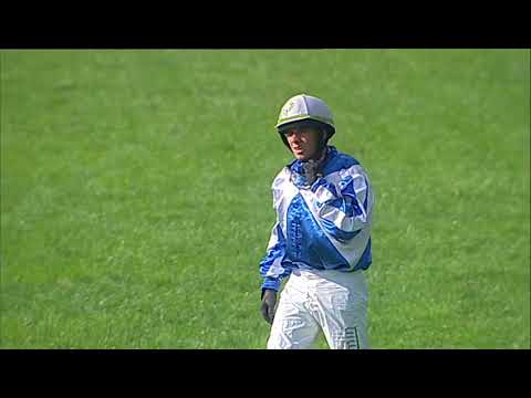 PE, 8. 9. 2018, 4. dostih - Benefiční dostih Kapky naděje