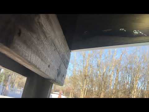 Wooden Archway Under Attack by Carpenter Bees in Montgomery, NJ