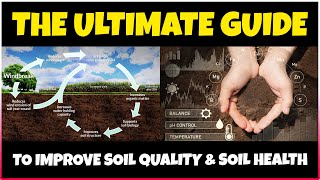 The Ultimate Guide to Improving Soil Quality and Soil Health on Your Farm | Sustainable Agriculture