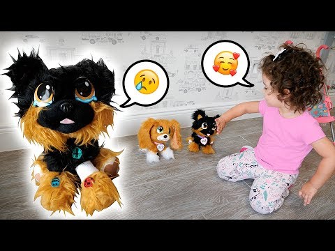 LAURA SALVA CACHORRINHOS ABANDONADOS | Historinha Infantil - BRANCOALA KIDS PRETEND PLAY