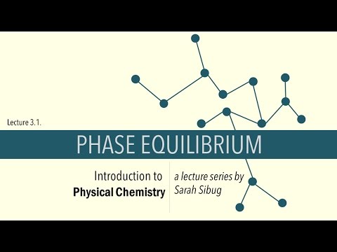 3.1. Phase Equilibrium