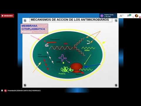 Chalazion vedenie încețoșată