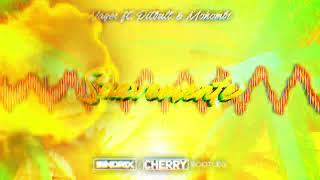 Nayer Ft. Pitbull &amp; Mohombi - Suavemente (SINDRIX &amp; CHERRY BOOTLEG)