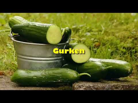 Donnerstag 19.12.2019