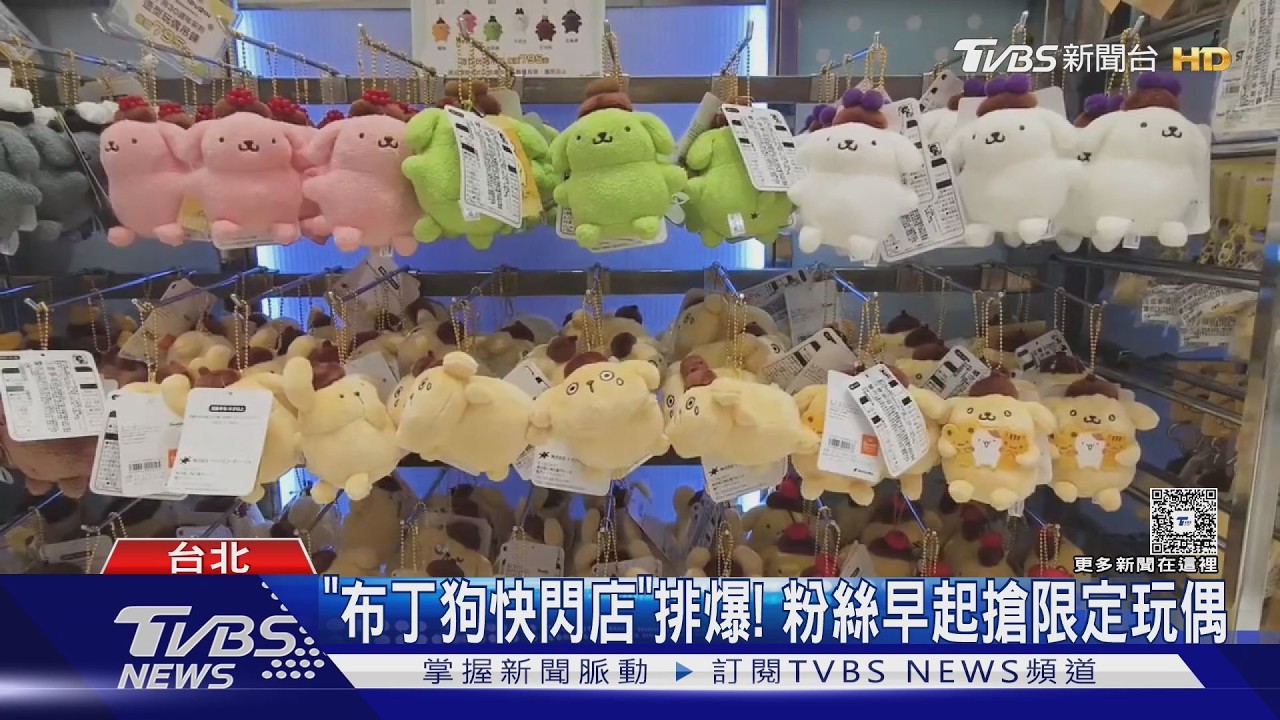 影音/「布丁狗快閃店」排爆! 粉絲早起搶限定玩偶