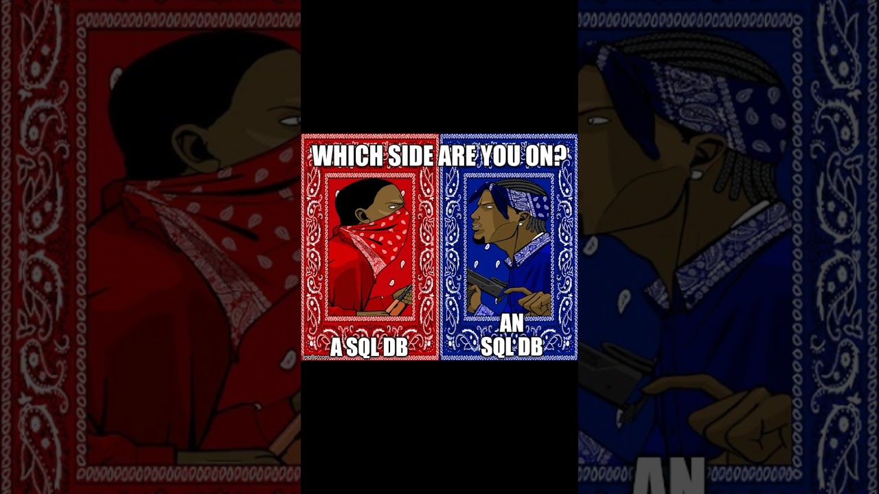 Which side are you on? #shorts #short #programing  #programmerhumor