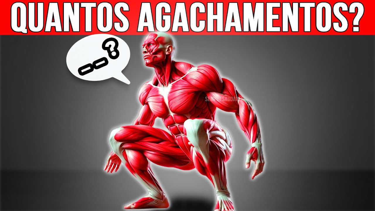 Quantos Agachamentos você deve fazer para Crescer as Pernas? (Nova Pesquisa)