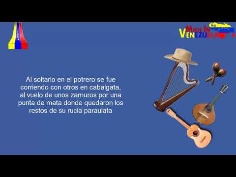 Recoleando Un Nuevo Amor - Miguel Diaz (Letra) ✘Live