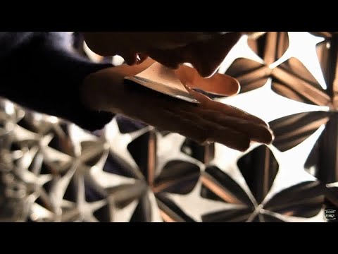 Alexander Curly - Myra