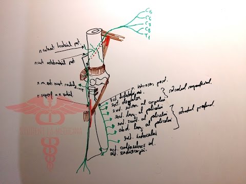 Cum se tratează ligamentele în articulația cotului