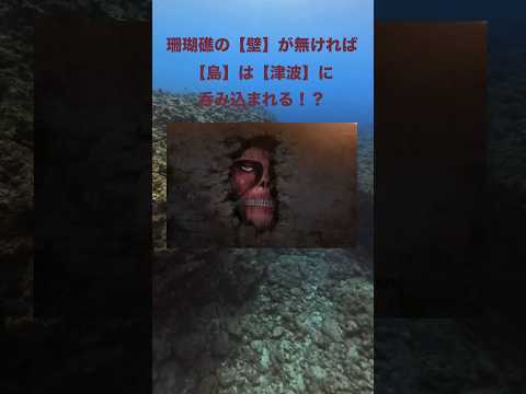 冷水サンゴ礁 - 定義