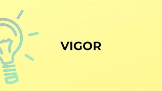 What is the meaning of the word VIGOR