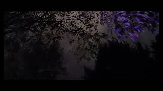 Cover art for That's a Monster, Honey