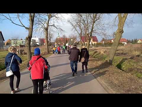 bieg marsz dla Kuby Brzezia Laka