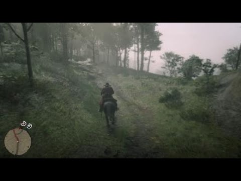 Red Dead Redemption 2 PS4 Pro Walkthrough Part 45