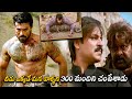 Vivek Oberoi And Ram Charan Ultimate Mass Action Fight Scene Vinaya Vidheya Rama Matinee Show