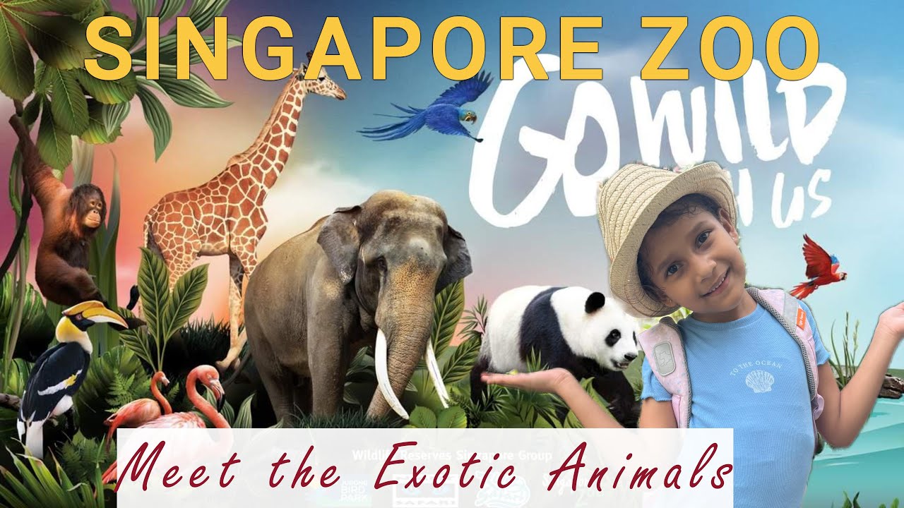 Meet the Exotic animals at Singapore Zoo | Interesting Facts About Animals