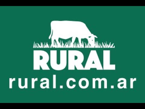 29/11/18 - Mercado de Liniers - Jauregui Lorda SRL