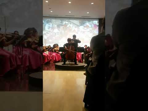 Flight of the bumblebee, damodar das castillo