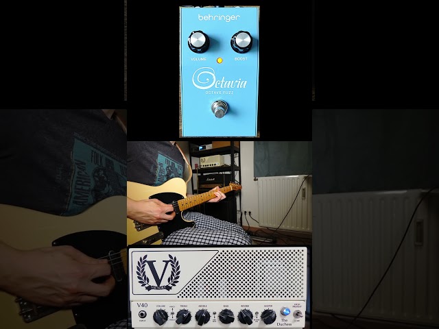 Vídeo relacionado con Behringer OCTAVIA OCTAVE FUZZ Pedal Vintage Octave Fuzz con Tono Agresivo y Efecto Octave Up