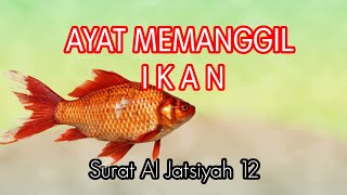 Download lagu AYAT MEMANGGIL IKAN mp3