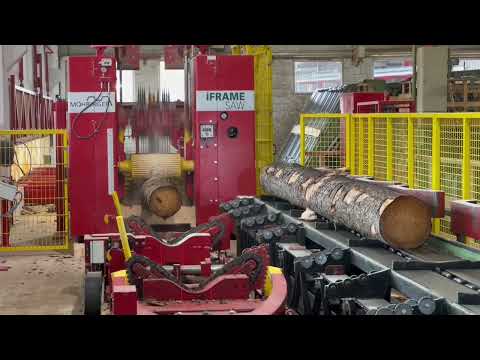 Holzbau-Binz neues Möhringer Gatter