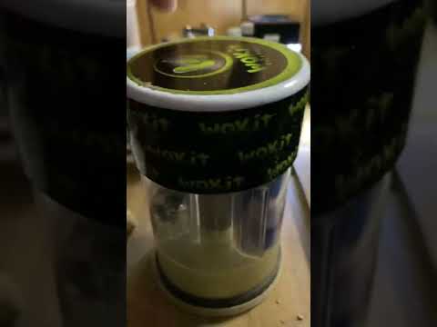 We got 3 on hand ready to ship.       https://www.ebay.com/str/paraphernaliapalace