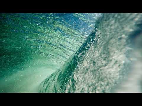 Faszination Faszien - Wie du im Alltags-Flow mehr Flexibilität und Spannkraft erfahren kannst