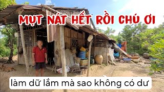 Xót xa căn nhà mụt nát của gia đình sống giữa khu vườn chôm chôm