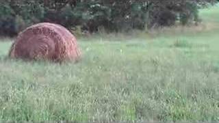 preview picture of video 'jumping over hay bails'