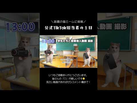 猫ミームで公式TikTok担当の1日作ってみた🐈#猫ミーム #猫ミーム日常 #徳島文理大学 #shorts