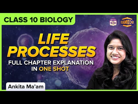 Life processes Class 10 Science Biology in One Shot | BYJU'S