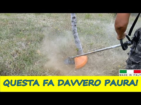 CAROSELLO brush cutter head. Cleans around logs WITHOUT DAMAGING THEM! Grinds everything!