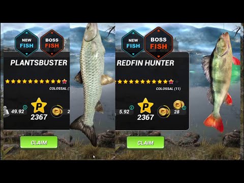 Fishing Clash//catch two Boss FISH#Upgrade LOCH NESS lure