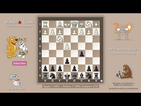 Nguyen Thai Dai Van vs Benkovic Petar, Budapest 2016 | The Hedgehog Defence