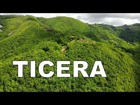 Comorile naturii  Pădurile din Apuseni, Ticera, Hunedoara