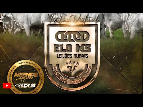 123º LEILÃO VIRTUAL ELO MS - CAMAPUÃ/MS - RURAL PLAY