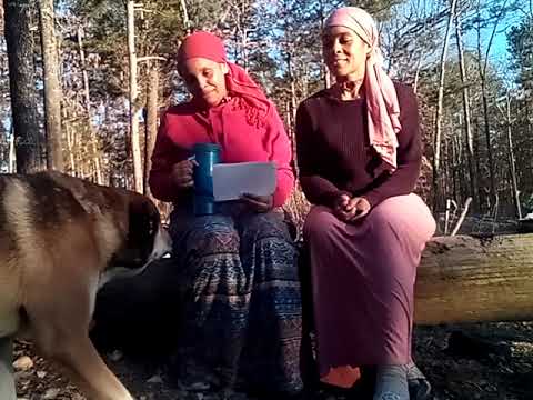 Sister T and E- Polygyny and helping find that Sis/Wife UPDATED Part 1