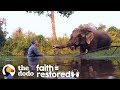 Rescued Elephant Has The Sweetest Reaction To Music The Dodo Faith Restored