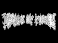 Cradle Of Filth - Tearing The Veil From Grace (8 ...