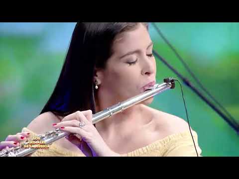 07 Pájaro Choguy - Los Animales de la Música.