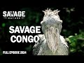 WILD CONGO Survival In The Primeval Forest Animal Documentary