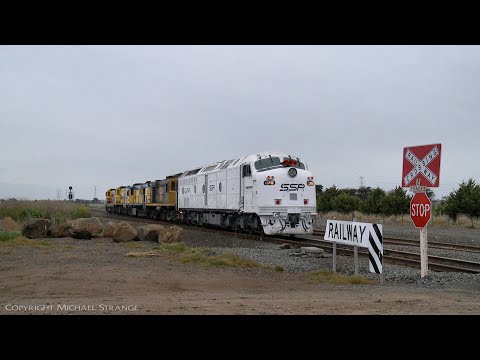 SSR Light Engines 4911, 4917, 4532, 602 & CLP12 "Casper"  - PoathTV Australian Trains & Railways