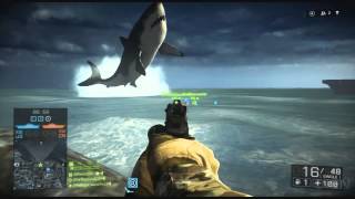 How To Find the Giant Shark in Battlefield 4