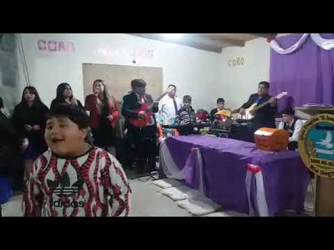 "algo esta cayendo aqui"