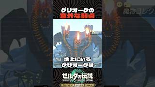 グリオークを消す方法【ゼルダの伝説 ティアキン】