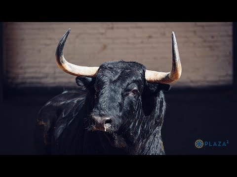 SORTEO | Toros Victoriano del Río, 16 mayo