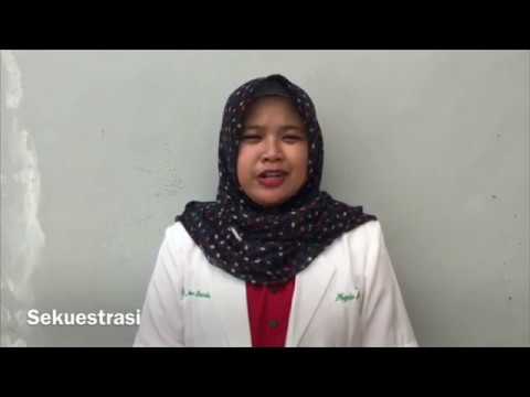 Manajemen Fisioterapi pada Hernia Nucleus Pulposus (HNP)